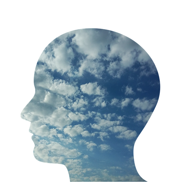 Danskerne advarer: 10234567 skaber forvirring og frygt