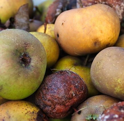 Madspild: Smarte tricks til at bruge resterne